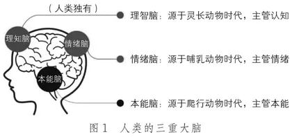 我们内心的冲突