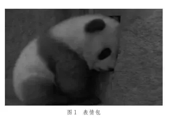 可以言说的“emo”  