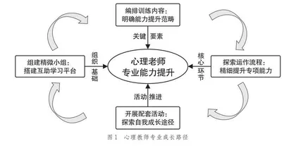 研训一体：基于实践的中小学心理教师专业成长新路径
