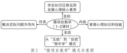 初中心理辅导课微项目教学应用与实践