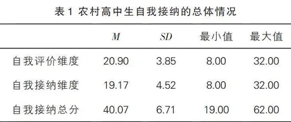 农村高中生自我接纳的现状及教育策略探究