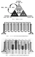 “爱情糖果工厂”研学记
