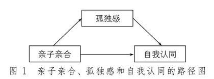 亲子亲合对小学生自我认同的影响：孤独感的中介作用 