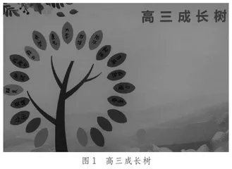 你好呀，我的高三