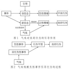 巧用嗅觉通道，促进辅导效果