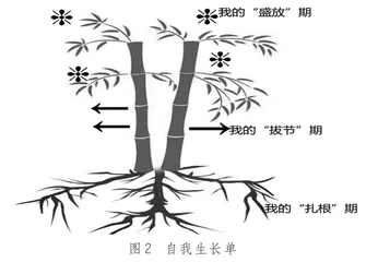 像毛竹一样成长