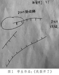 叙事绘画疗法应用于压力调节心理课的教学探究