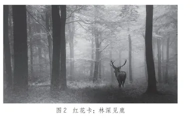 质性评估在生涯辅导中的应用
