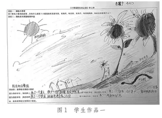 “小番茄”的生命之旅