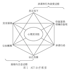 基于ACT的焦虑躯体化干预报告