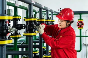 刘丽：续写“我为祖国献石油”