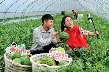 新农人,逐梦新农村