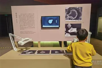 浙江浦江:做好万年稻文章