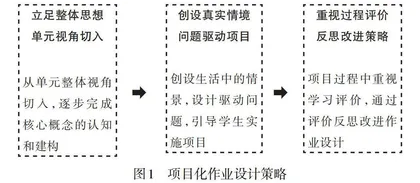 “双减”背景下基于核心素养的项目化作业探究0
