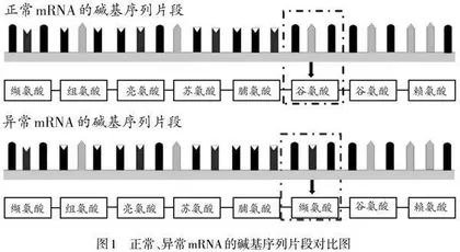 基于5E教学模式的生物教学设计研究