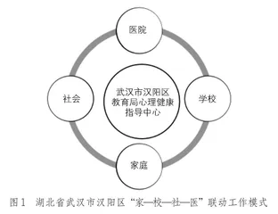 区域内“家—校—社—医”联动工作模式的初步探索