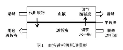 基于项目式学习培育生物学核心素养的教学设计