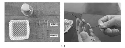 初中物理实验教学可视化的实践探索