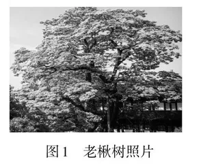 结合校本资源的高中生物学实践活动设计 