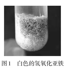 氢氧化亚铁制备实验的改进实践