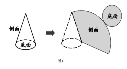追寻与建构——小学生数学学力 “自生长”的实践探索