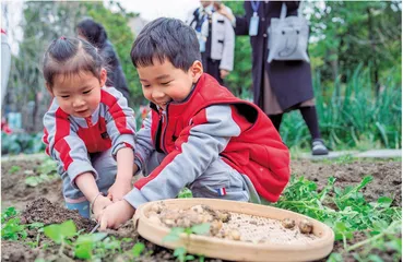 幼儿园学习空间的建设与利用