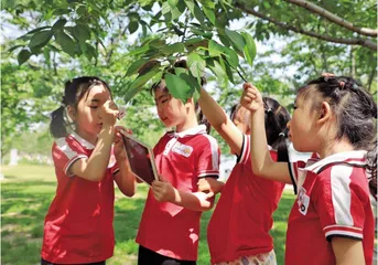 幼小衔接的现状、挑战与应对策略