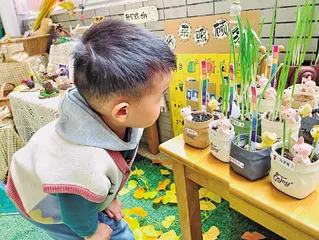 自然角环境的创设与利用