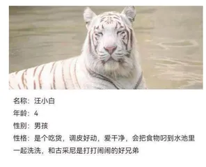 一次有意义的家园共育活动