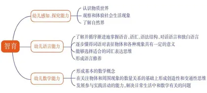 俄罗斯幼儿园智育课程的理念与实践