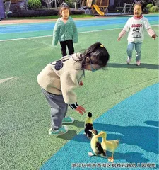 从持续观察中获得直接经验