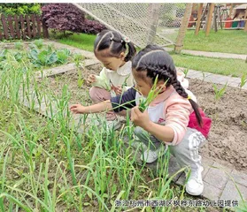 链接幼儿的生活经验