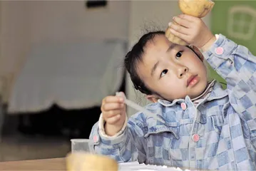 藕的秘密（大班）