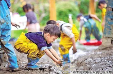 观察和研究园本教研活动的实践与思考