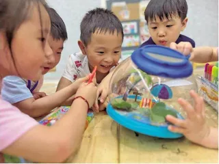 蝴蝶的秘密