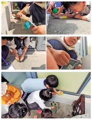 班里来了一群小蚂蚁