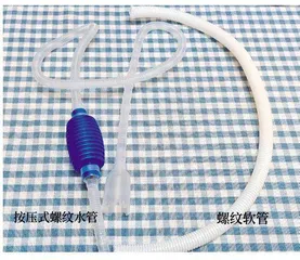 老爷爷的菜地（大班）