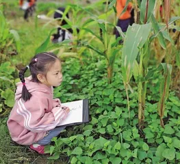 让儿童的学习自然发生 