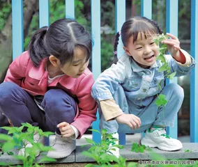 幼小衔接的认识误区0