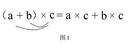数学核心素养视角下的运算律教学思考