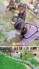 稻田农学（中班）