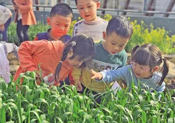 从“检核”到“鹰架” 