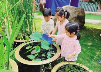 新时代“活教师”培养的思考与实践