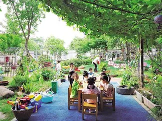 葡萄架下的早茶时光