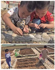 基于幼儿园大班种植活动的劳动教育实践