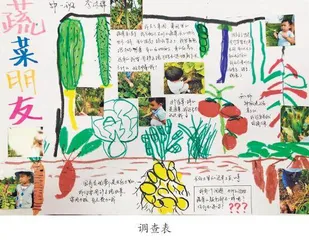 年级组支持班本化主题活动开展的实践与思考