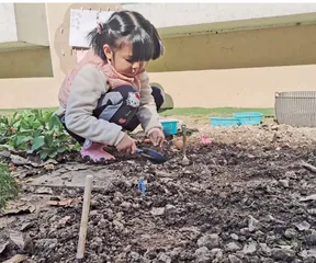 关于幼儿园项目活动实施策略的思考