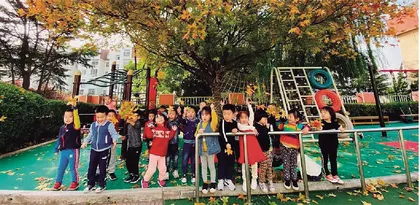 一块小石头引发的学习