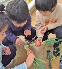 支持幼儿在探究活动中认识周围事物