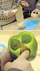 蔬菜“肚子”的秘密（中班）